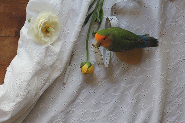 Kipling 'helping' on set